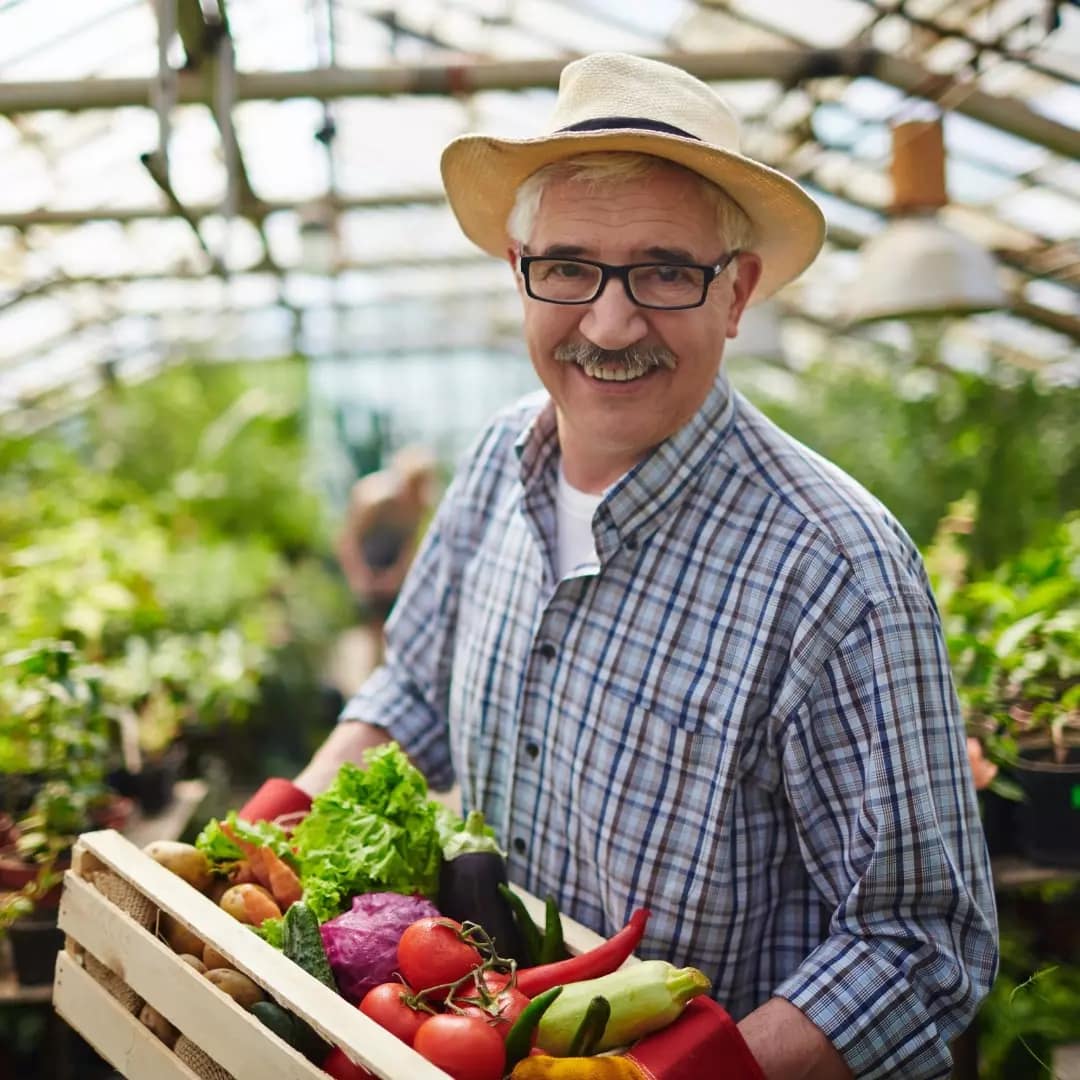 Frutas y verduras de temporada