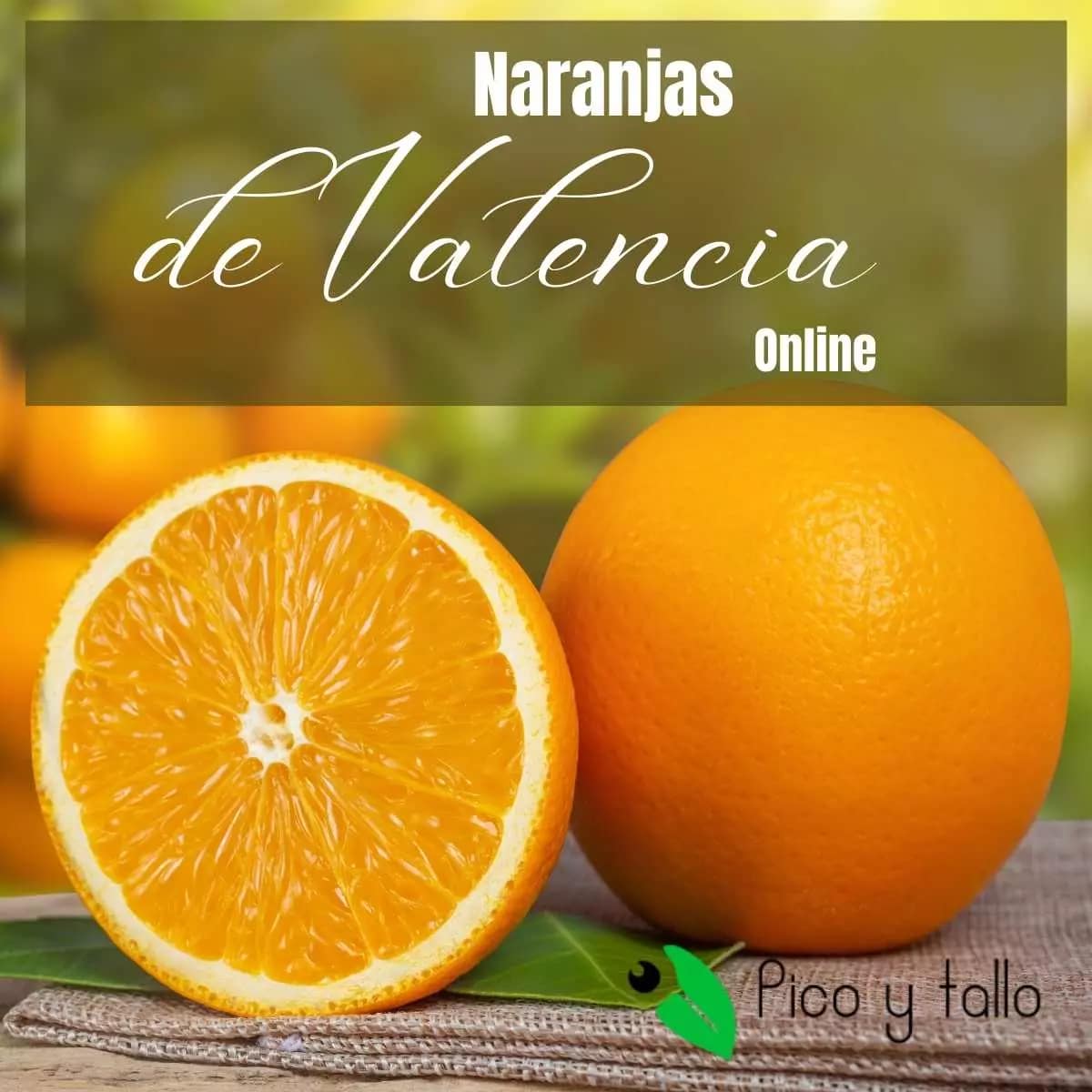 Naranjas de Valencia