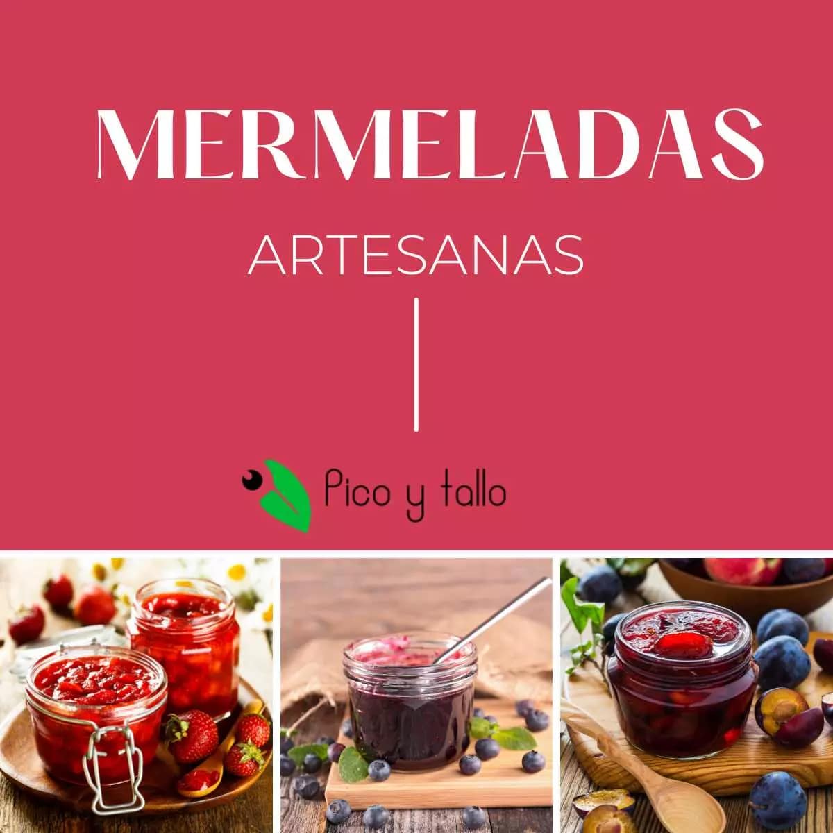 Mermeladas artesanas de temporada