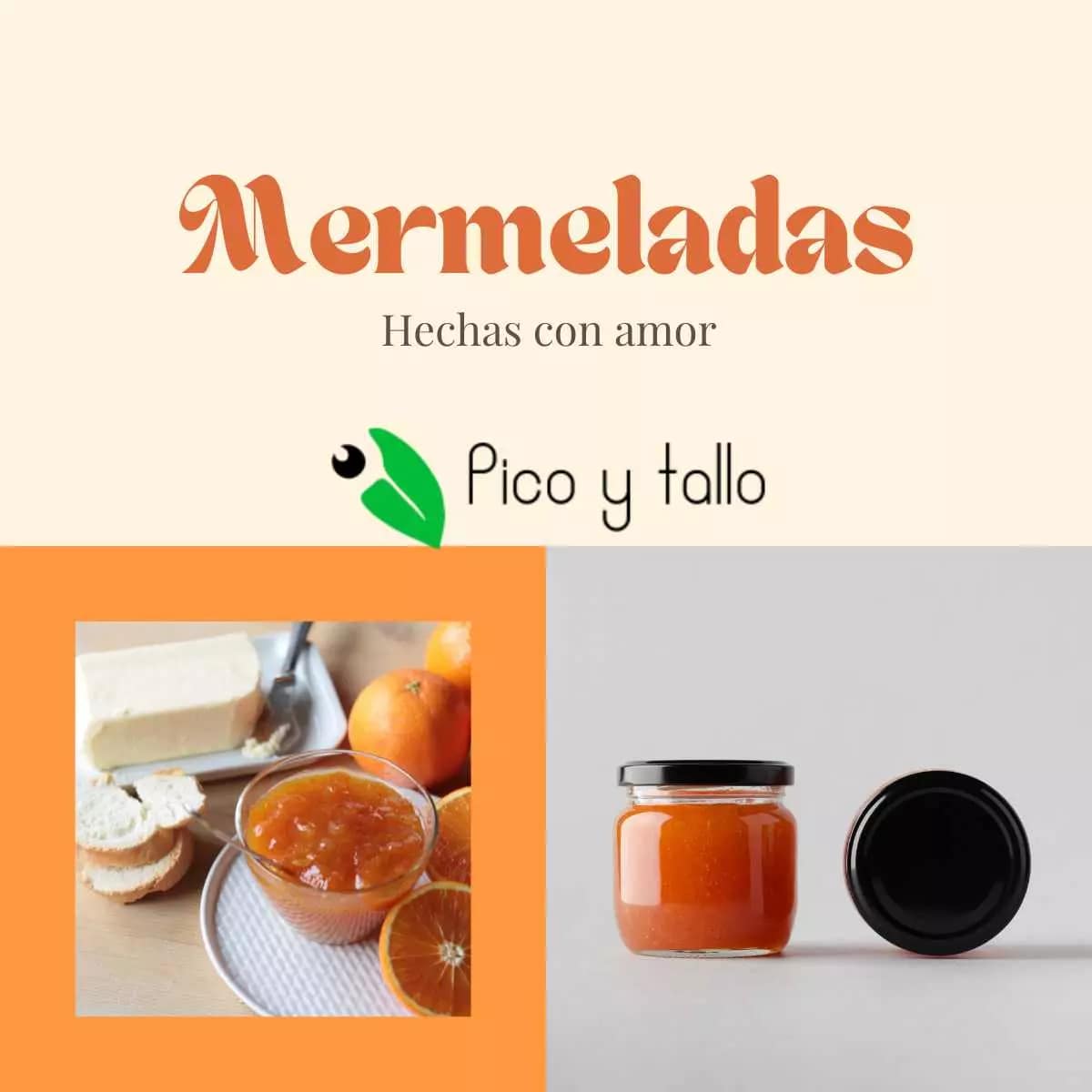 Mermeladas artesanas