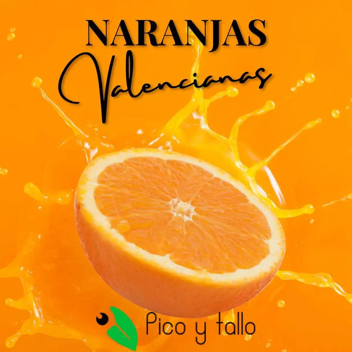 Naranjas de valencia