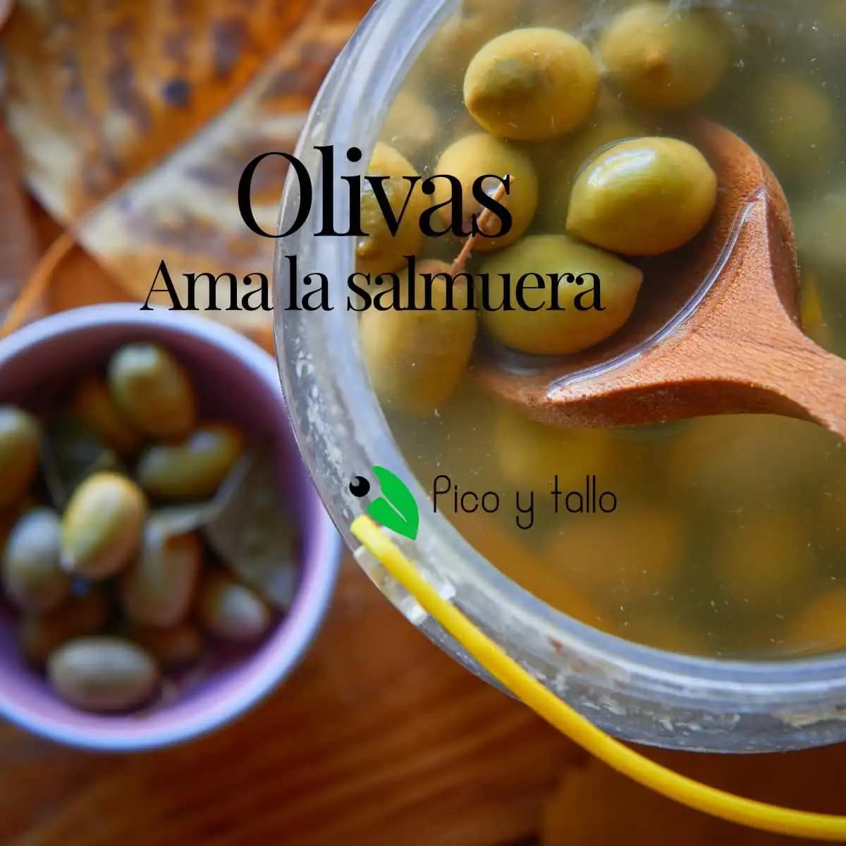 Olivas